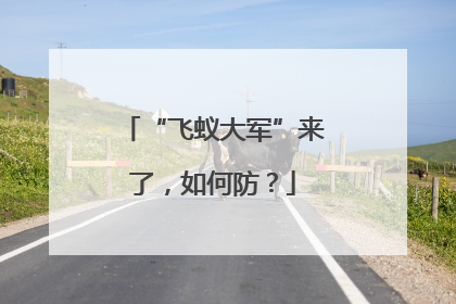 “飞蚁大军”来了，如何防？