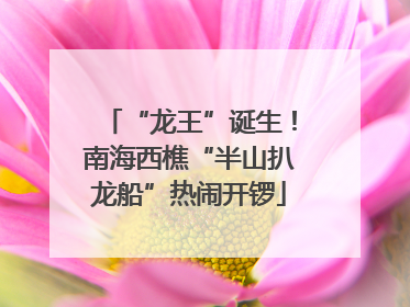 “龙王”诞生！南海西樵“半山扒龙船”热闹开锣