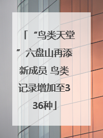 “鸟类天堂”六盘山再添新成员 鸟类记录增加至336种
