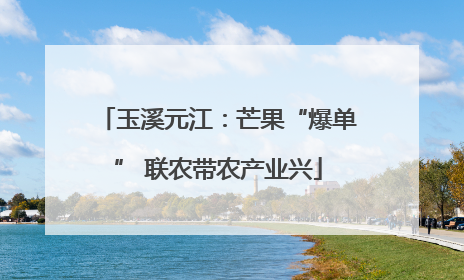 玉溪元江：芒果“爆单” 联农带农产业兴
