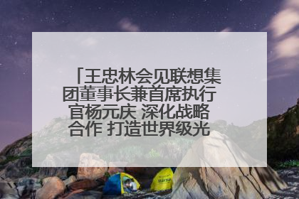 王忠林会见联想集团董事长兼首席执行官杨元庆 深化战略合作 打造世界级光电子信息产业集群