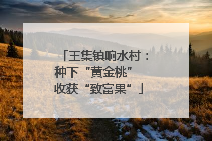 王集镇响水村：种下“黄金桃” 收获“致富果”