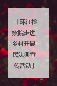 环江检察院走进乡村开展民法典宣传活动