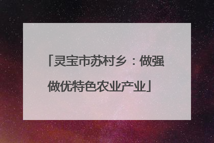 灵宝市苏村乡：做强做优特色农业产业