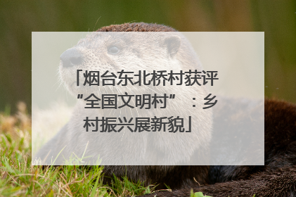 烟台东北桥村获评“全国文明村”：乡村振兴展新貌