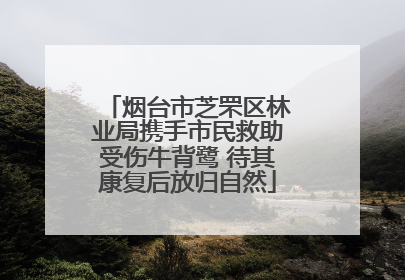烟台市芝罘区林业局携手市民救助受伤牛背鹭 待其康复后放归自然
