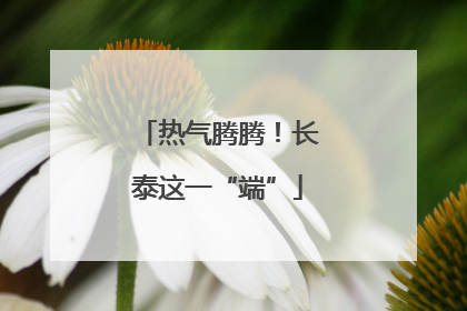 热气腾腾！长泰这一“端”