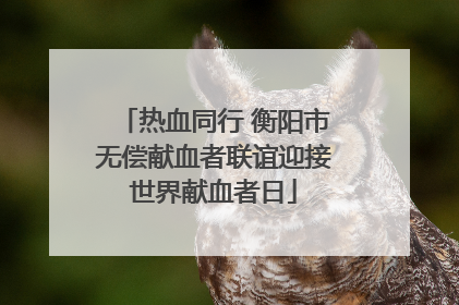 热血同行 衡阳市无偿献血者联谊迎接世界献血者日