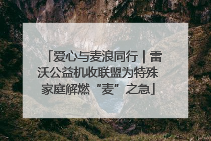 爱心与麦浪同行｜雷沃公益机收联盟为特殊家庭解燃“麦”之急