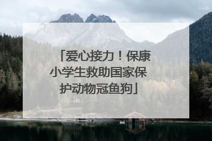 爱心接力！保康小学生救助国家保护动物冠鱼狗