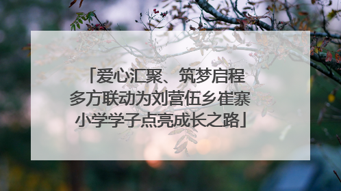 爱心汇聚、筑梦启程 多方联动为刘营伍乡崔寨小学学子点亮成长之路