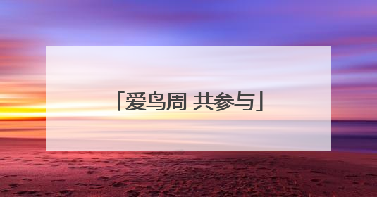 爱鸟周 共参与