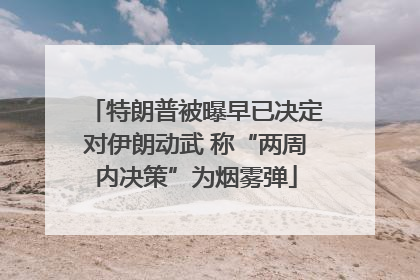特朗普被曝早已决定对伊朗动武 称“两周内决策”为烟雾弹