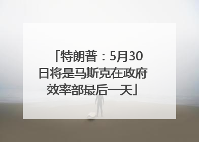 特朗普：5月30日将是马斯克在政府效率部最后一天