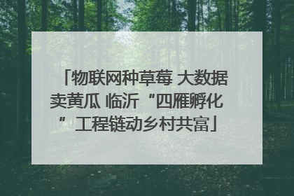 物联网种草莓 大数据卖黄瓜 临沂“四雁孵化”工程链动乡村共富