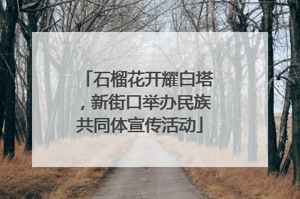 石榴花开耀白塔，新街口举办民族共同体宣传活动