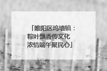 睢阳区坞墙镇：粽叶飘香传文化 浓情端午聚民心