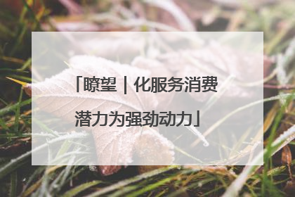瞭望｜化服务消费潜力为强劲动力