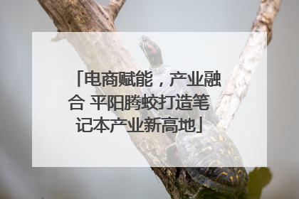 电商赋能，产业融合 平阳腾蛟打造笔记本产业新高地