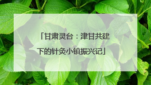 甘肃灵台：津甘共建下的针灸小镇振兴记