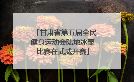 甘肃省第五届全民健身运动会陆地冰壶比赛在武威开赛