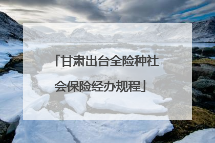 甘肃出台全险种社会保险经办规程