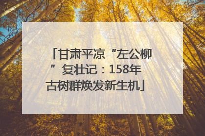 甘肃平凉“左公柳”复壮记：158年古树群焕发新生机