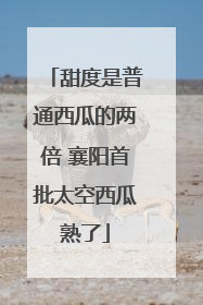甜度是普通西瓜的两倍 襄阳首批太空西瓜熟了