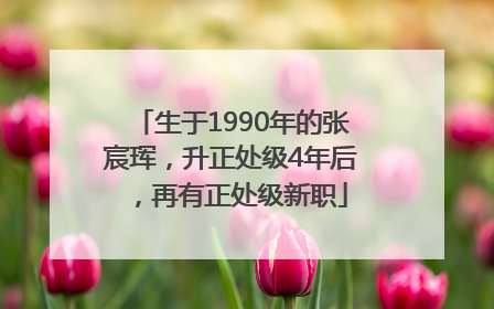 生于1990年的张宸珲，升正处级4年后，再有正处级新职