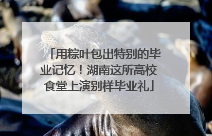 用粽叶包出特别的毕业记忆！湖南这所高校食堂上演别样毕业礼