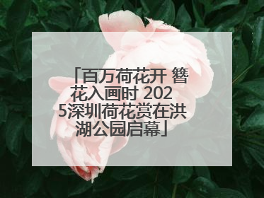 百万荷花开 簪花入画时 2025深圳荷花赏在洪湖公园启幕