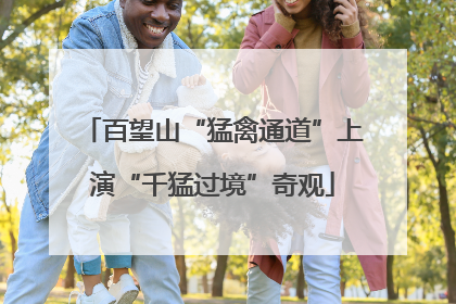 百望山“猛禽通道”上演“千猛过境”奇观