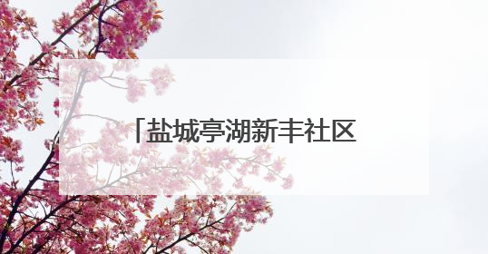 盐城亭湖新丰社区：粽香传情迎端午 共建共享促和谐