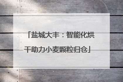 盐城大丰：智能化烘干助力小麦颗粒归仓