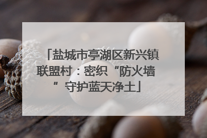 盐城市亭湖区新兴镇联盟村：密织“防火墙”守护蓝天净土