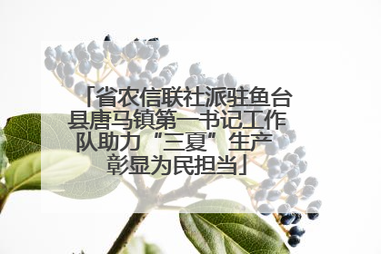 省农信联社派驻鱼台县唐马镇第一书记工作队助力“三夏”生产 彰显为民担当