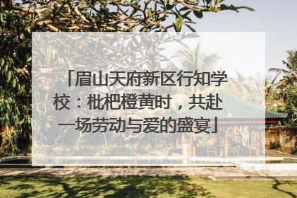 眉山天府新区行知学校：枇杷橙黄时，共赴一场劳动与爱的盛宴
