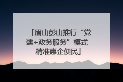 眉山彭山推行“党建+政务服务”模式 精准惠企便民