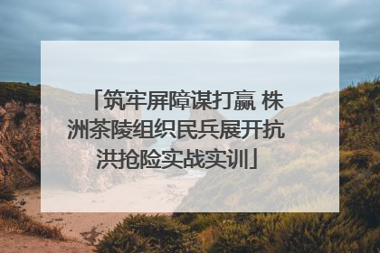 筑牢屏障谋打赢 株洲茶陵组织民兵展开抗洪抢险实战实训