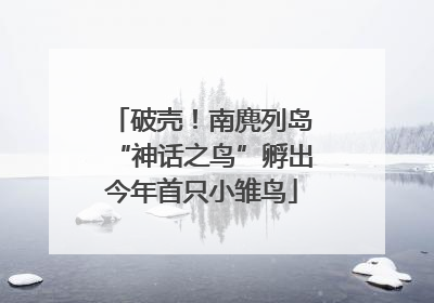 破壳！南麂列岛“神话之鸟”孵出今年首只小雏鸟