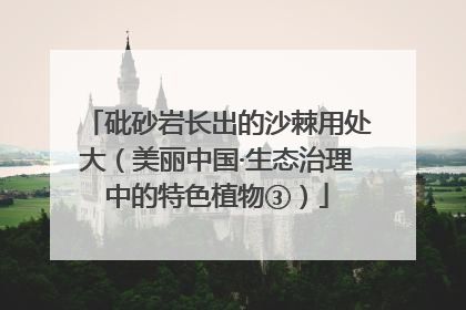 砒砂岩长出的沙棘用处大（美丽中国·生态治理中的特色植物③）