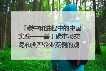 碳中和进程中的中国实践——基于碳市场交易和典型企业案例的观察报告｜旗舰报告
