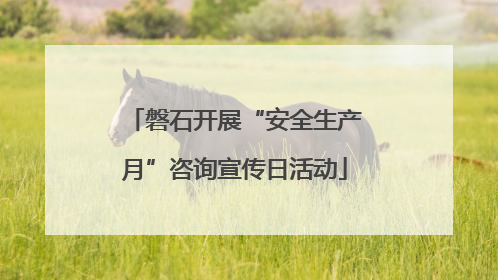 磐石开展“安全生产月”咨询宣传日活动