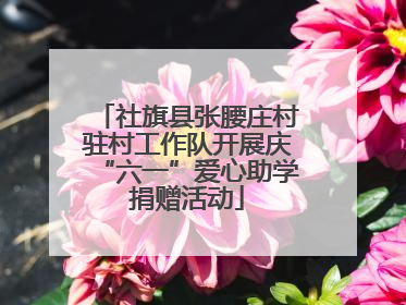 社旗县张腰庄村驻村工作队开展庆“六一”爱心助学捐赠活动