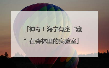 神奇！海宁有座“藏”在森林里的实验室