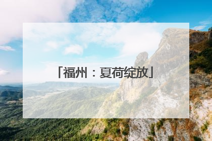 福州：夏荷绽放