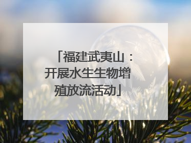 福建武夷山：开展水生生物增殖放流活动