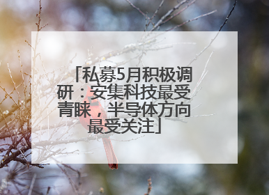 私募5月积极调研：安集科技最受青睐，半导体方向最受关注