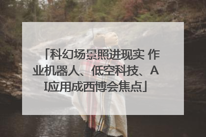 科幻场景照进现实 作业机器人、低空科技、AI应用成西博会焦点