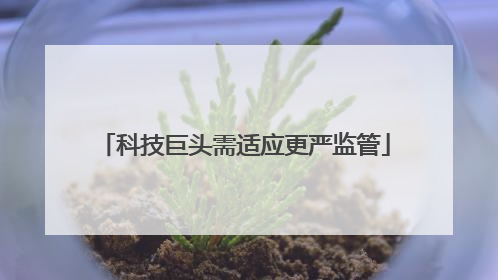 科技巨头需适应更严监管